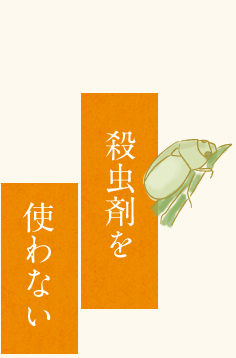 殺虫剤を使わない