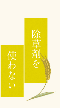 除草剤を使わない