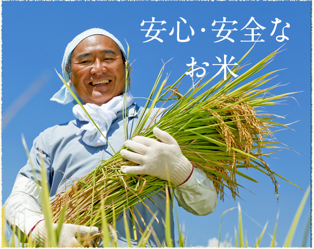 無農薬米、玄米、あきたこまちを本場秋田より真空パックでお届け！産直